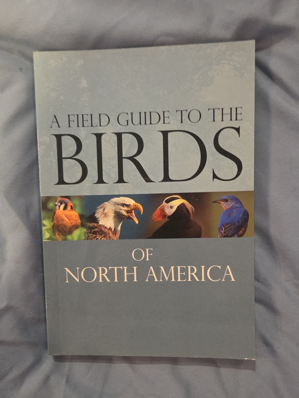 Bird Guide Book